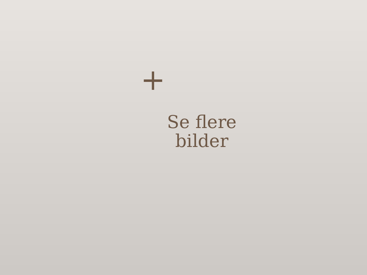Se flere bilder